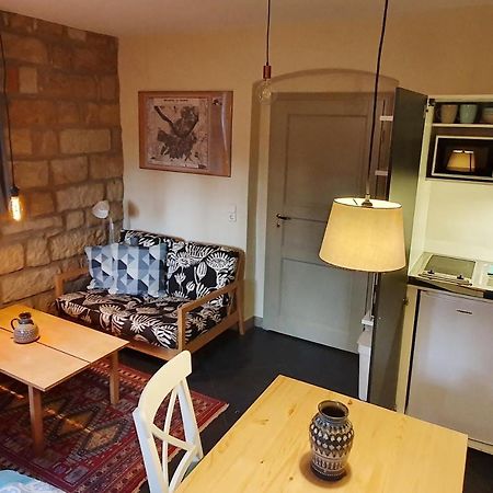 דרזדן Villa Haniel Apartment Leo מראה חיצוני תמונה
