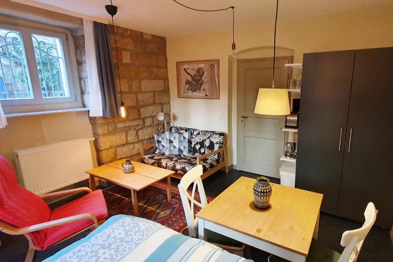 דרזדן Villa Haniel Apartment Leo מראה חיצוני תמונה