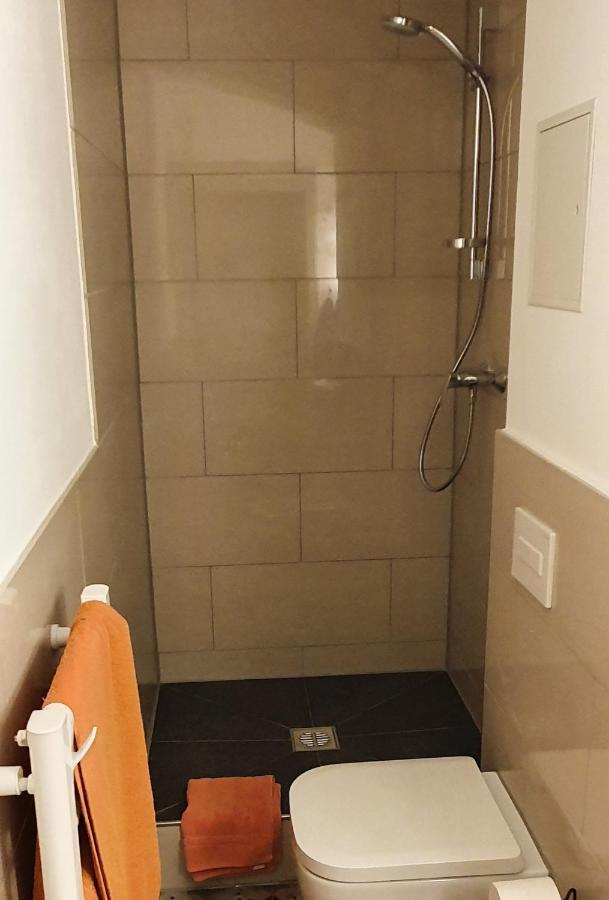 דרזדן Villa Haniel Apartment Leo מראה חיצוני תמונה